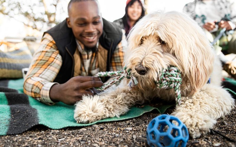 Banfield Pet Hospital