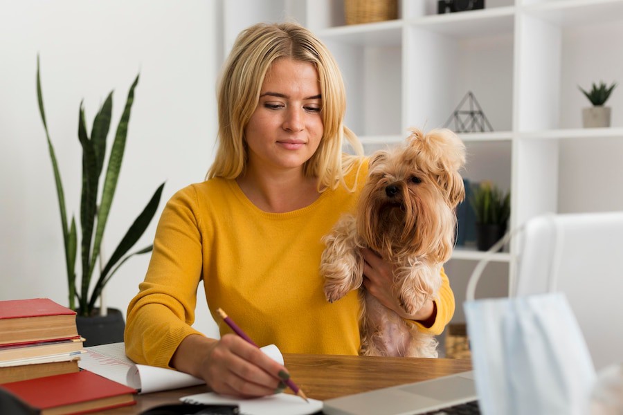 Choosing the Best Renters Insurance Policy for Pet Owners