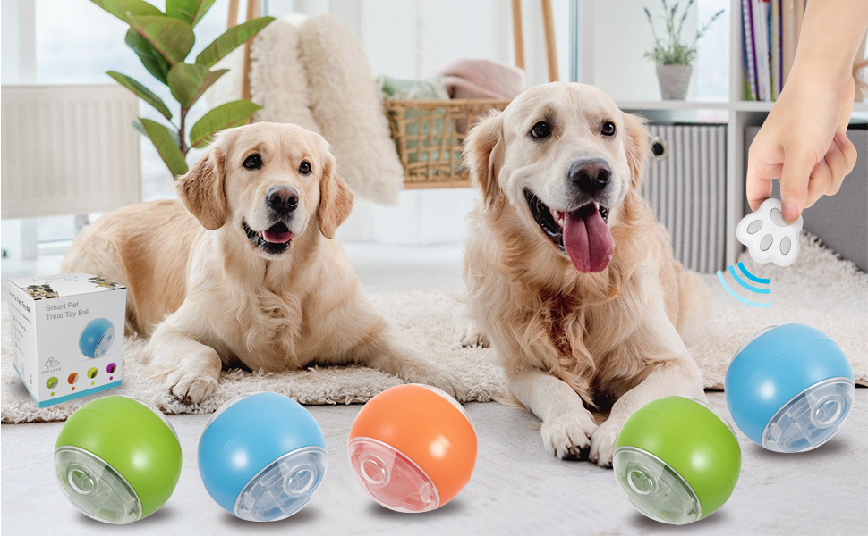 Interactive Toys and Treat Dispensers