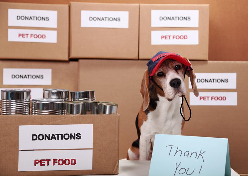 Pet Food Assistance Programs