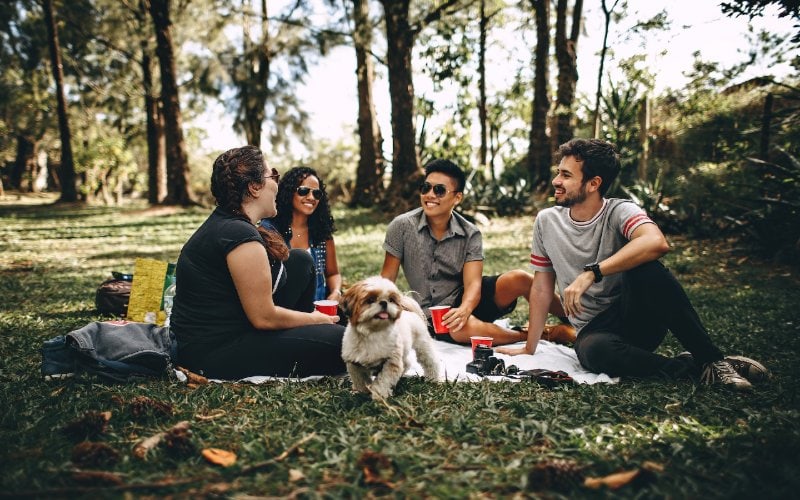 Pet-Friendly Picnics