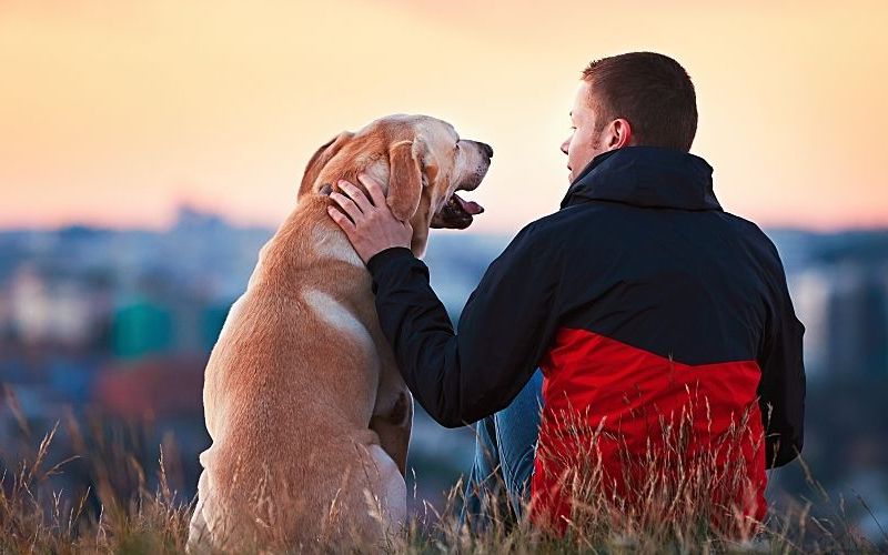 Pet Love on a Budget: How Low-Income Owners Can Find Support