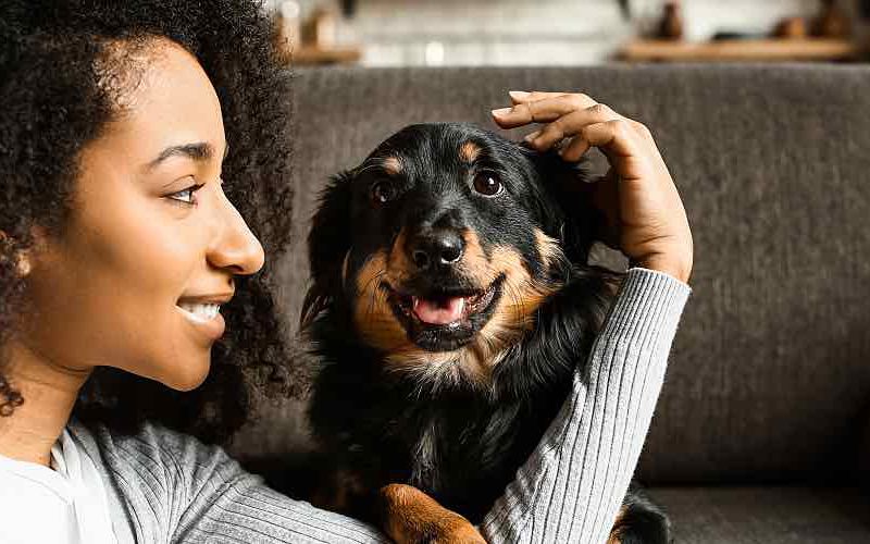 Pet Owners' Purchasing Power: What Percentage Would Trust Your Recommendations