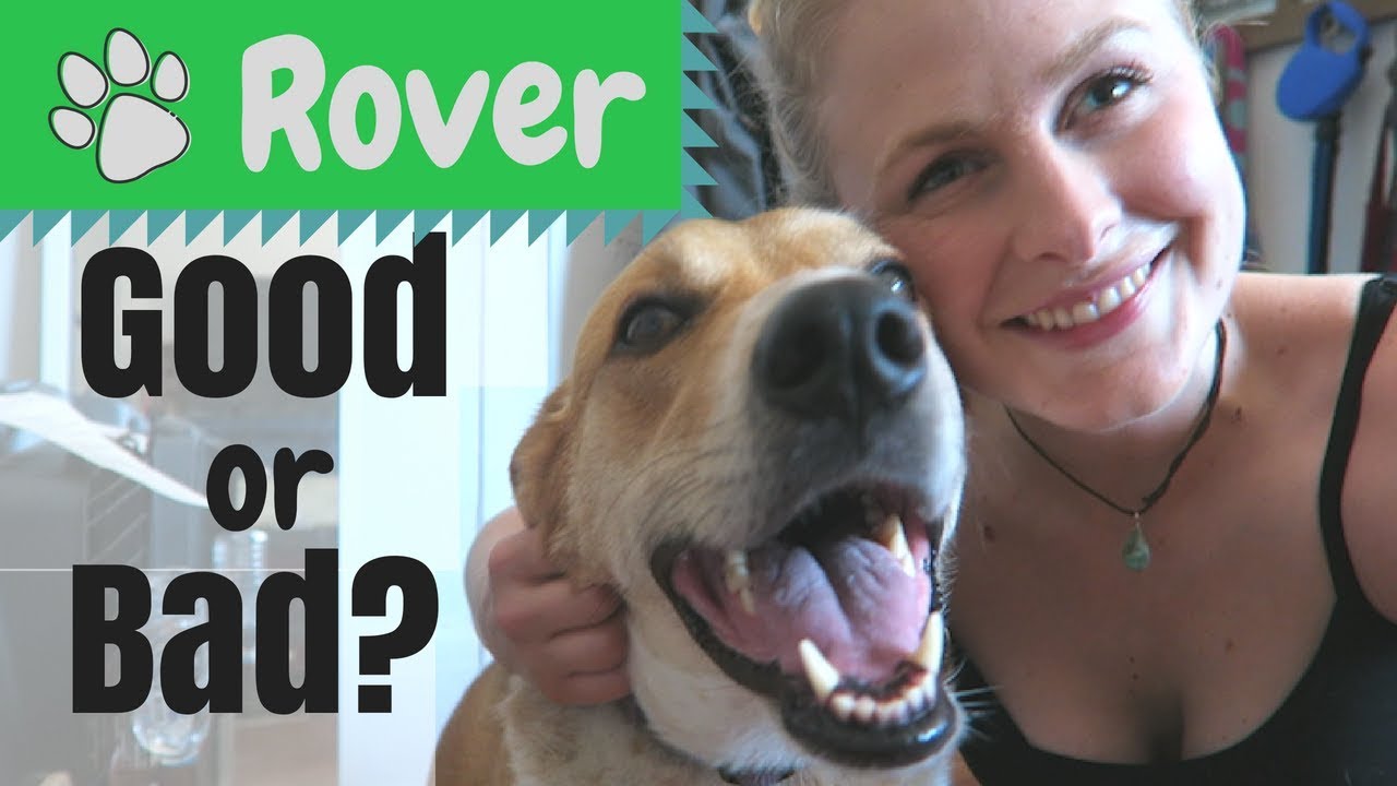 Rover Reviews