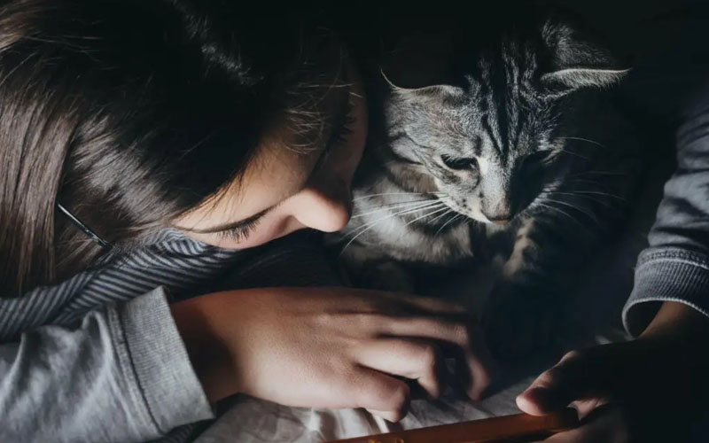 The 5 Types of Pet Owners: Which One Are You