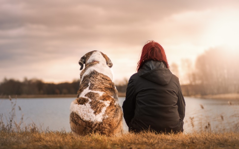 The Best Support Groups for Grieving Pet Owners