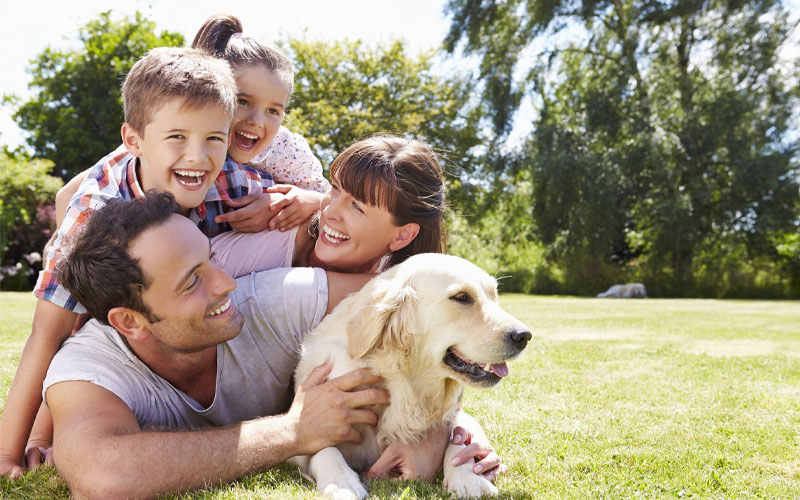 The Physical Health Benefits of Pet Ownership