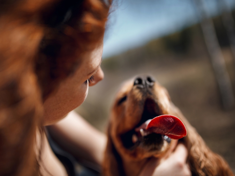 The Rise of Pet Parenting: Why Pet Owners See Themselves as Parents