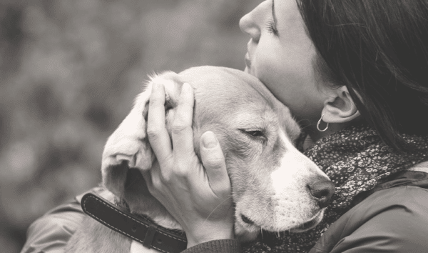 Top Support Groups for Grieving Pet Owners