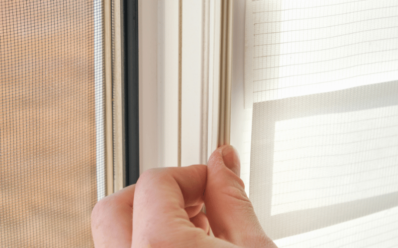 Wash Windows and Clean Window Sills