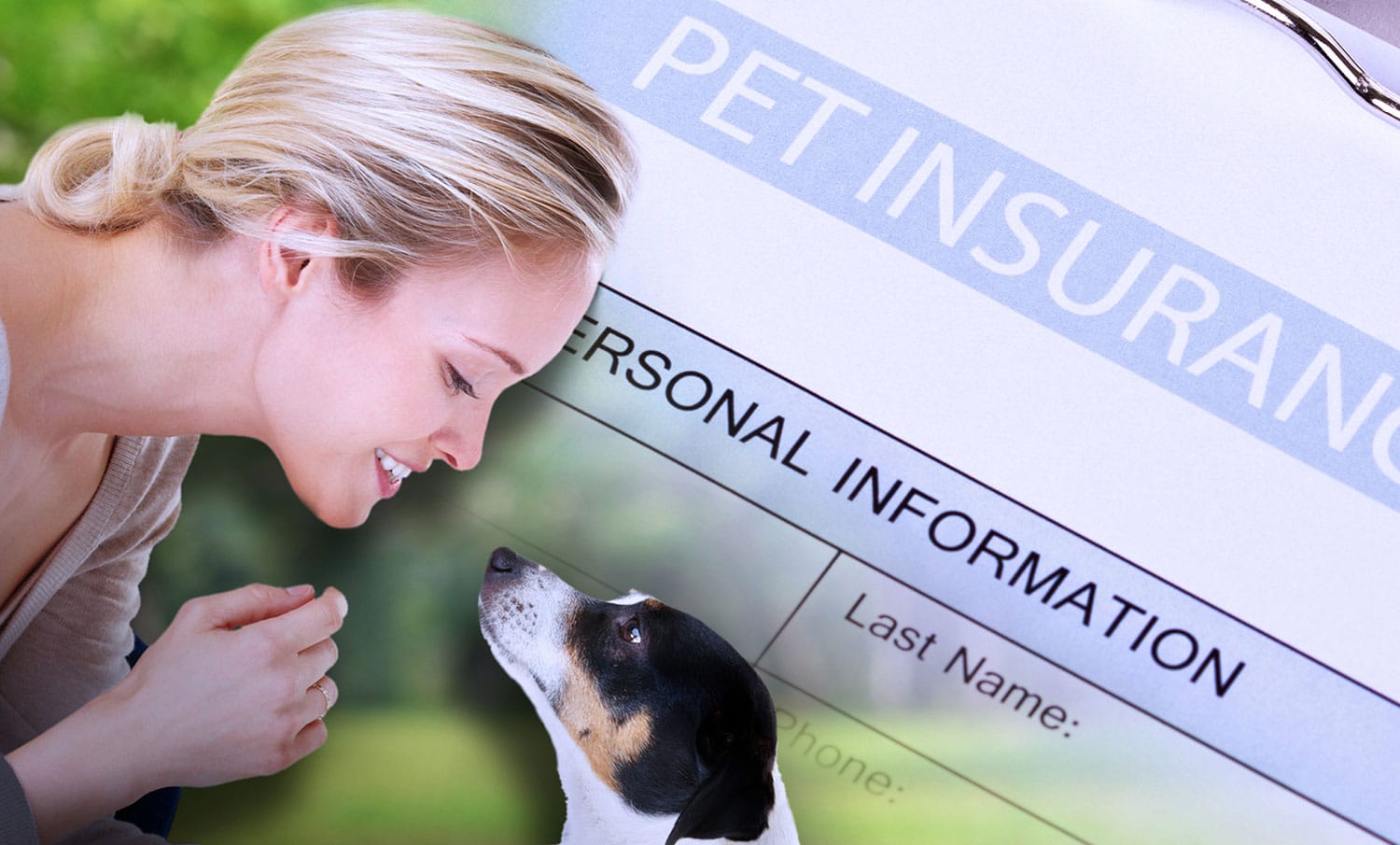 Why Pet Owners Insurance is Essential