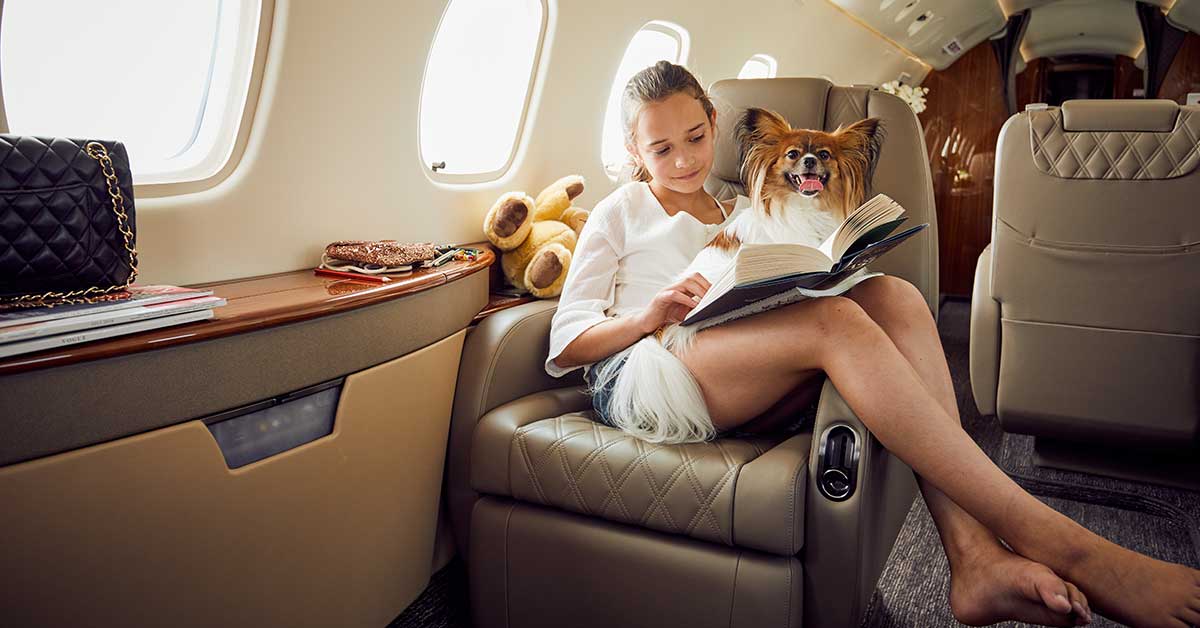 Benefits of Private Jet Travel for Pets