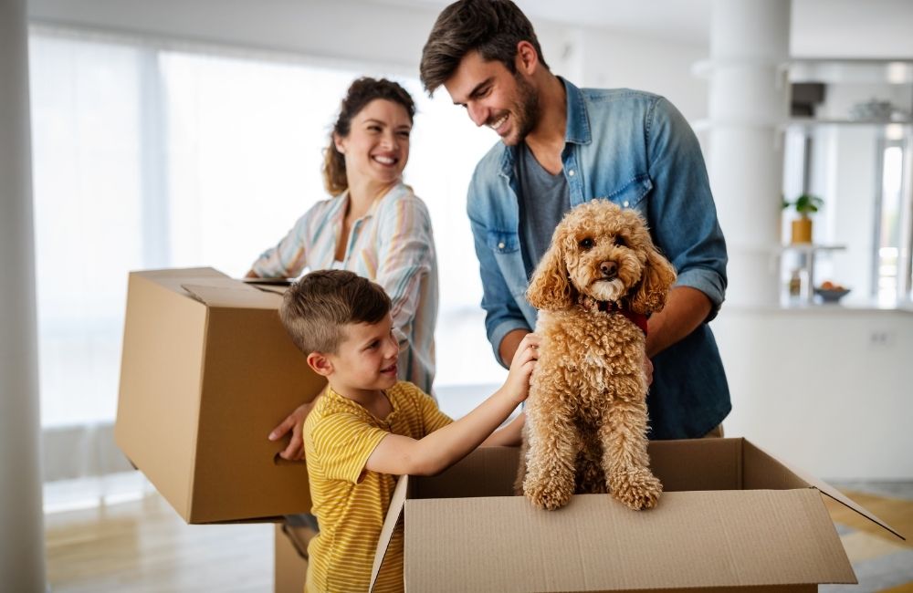 Benefits of Renting to Pet Owners