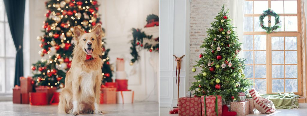 Ceiling Christmas Trees: The Perfect Solution for Pet Owners During the Holidays