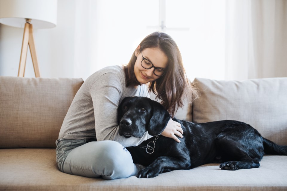 Challenges Faced by Canadian Pet Owners