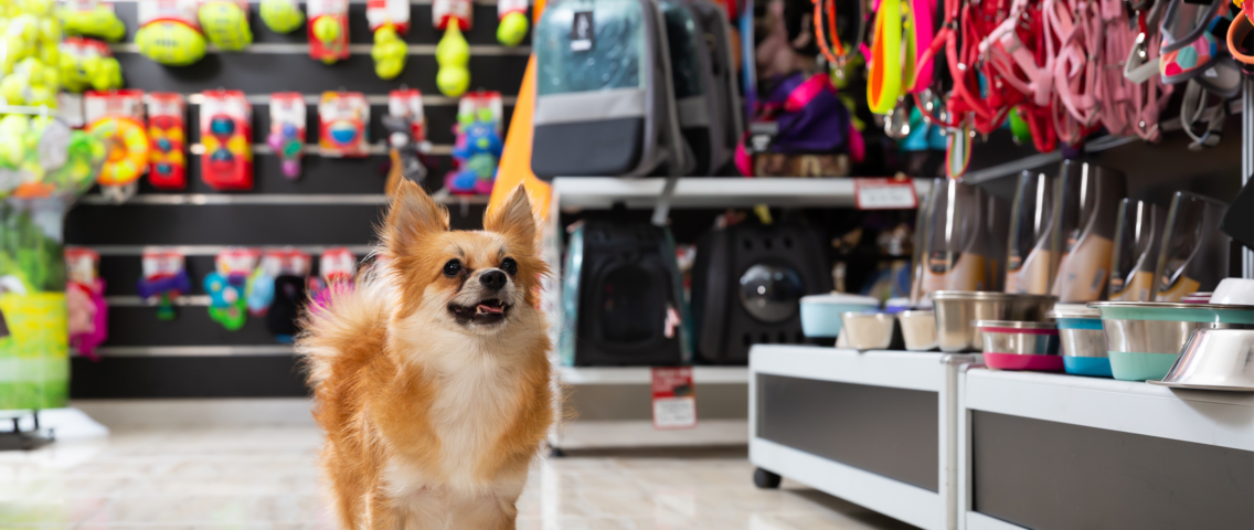 Challenges and Triumphs in the Pet Supply Business