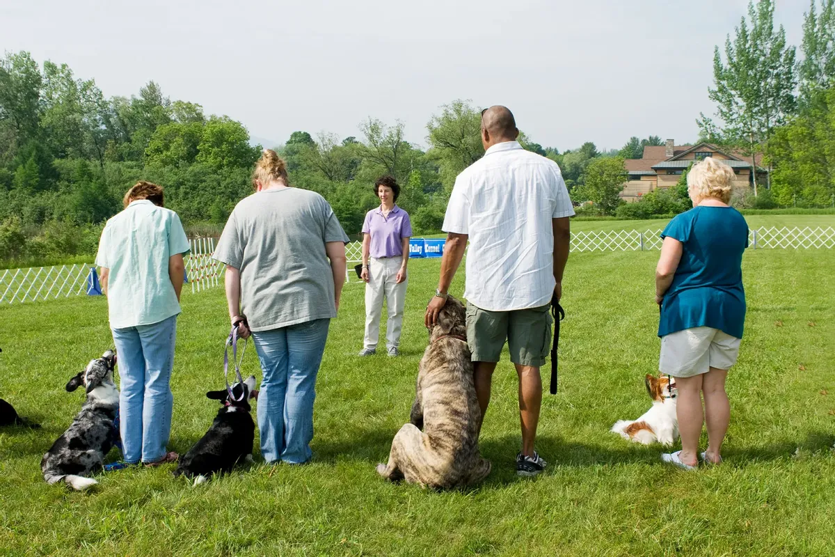 Classes of Pet Owners