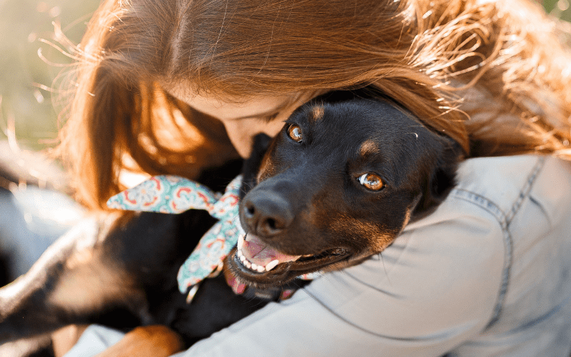 Community Support for Pet Owners in Georgia