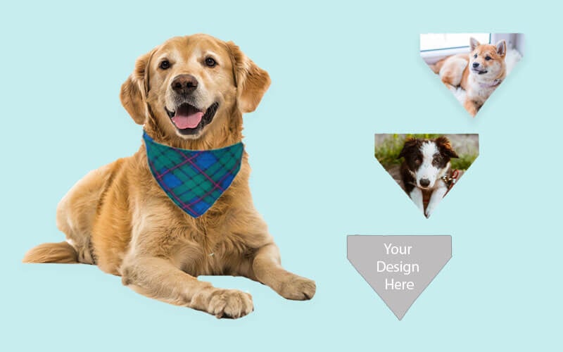 Customized Pet Accessories