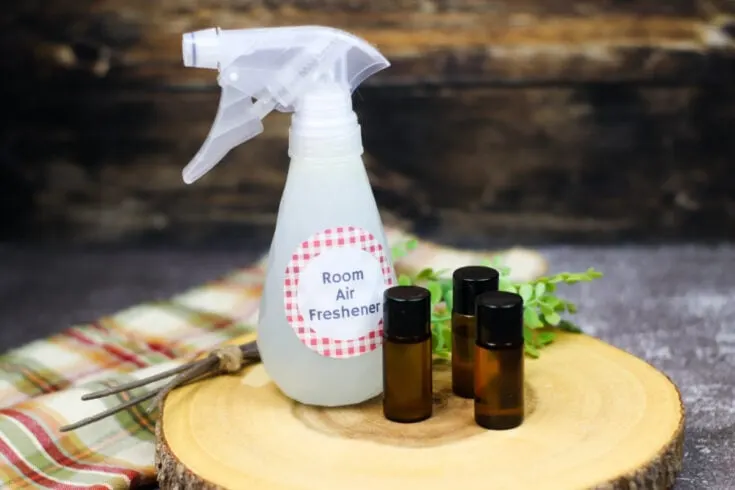 DIY Pet-Safe Air Fresheners