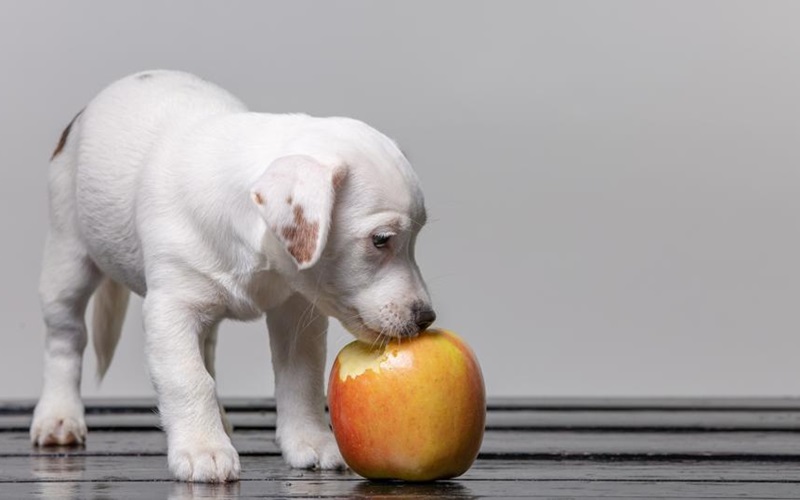 Discover the Incredible Benefits of Eating Green Apples Every Day