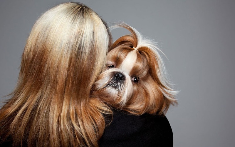 Do Pet Owners Really Look Like Their Pets? Discover the Fascinating Truth