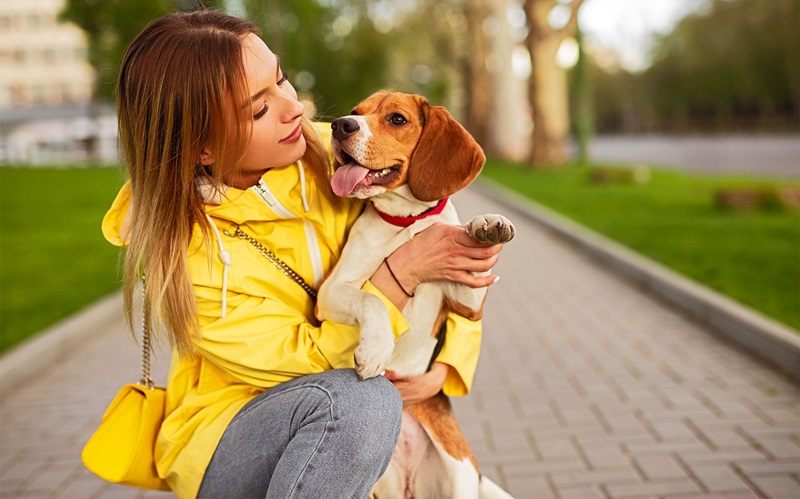 Effective Strategies for Targeting Pet Owners in Your Marketing Campaign