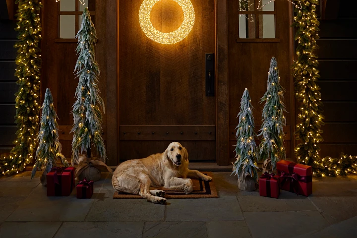 Elevate Your Festivities: A Guide to Ceiling Christmas Trees for Homes with Pets