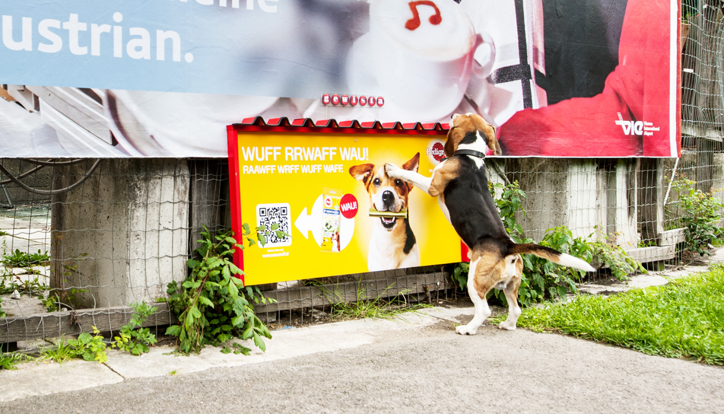 Examples of Successful Pet Owner Campaigns