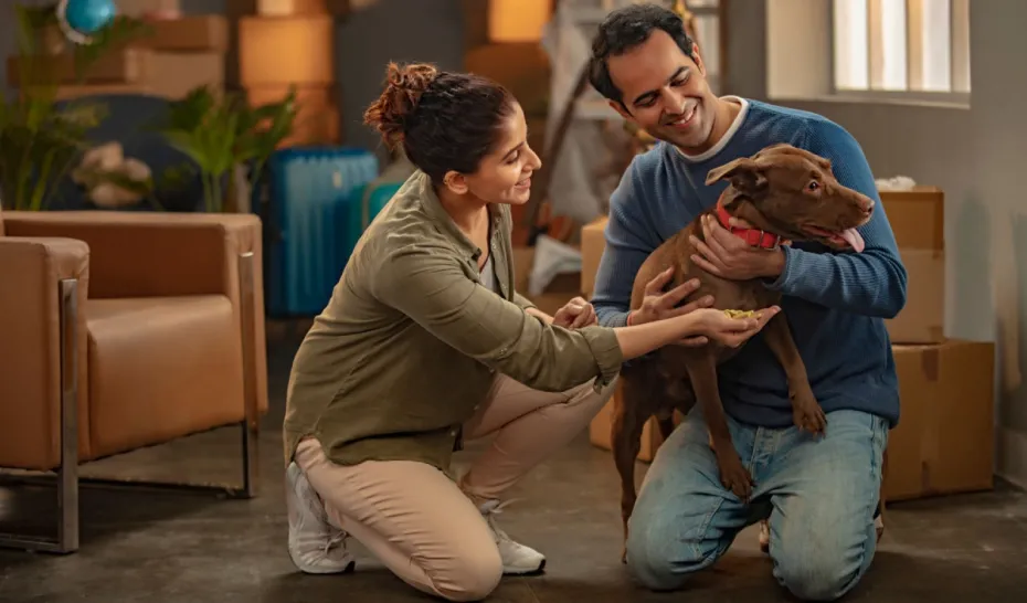 Exploring the Future of Pet Care with the Indian Pet Owners Database