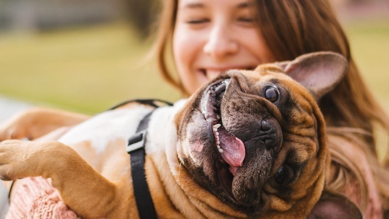 Heartwarming Stories from Pet People Owners