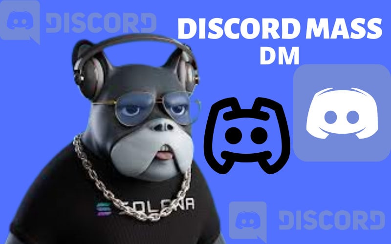 How to Make the Most of Your Experience on Pet Owners Discord Servers