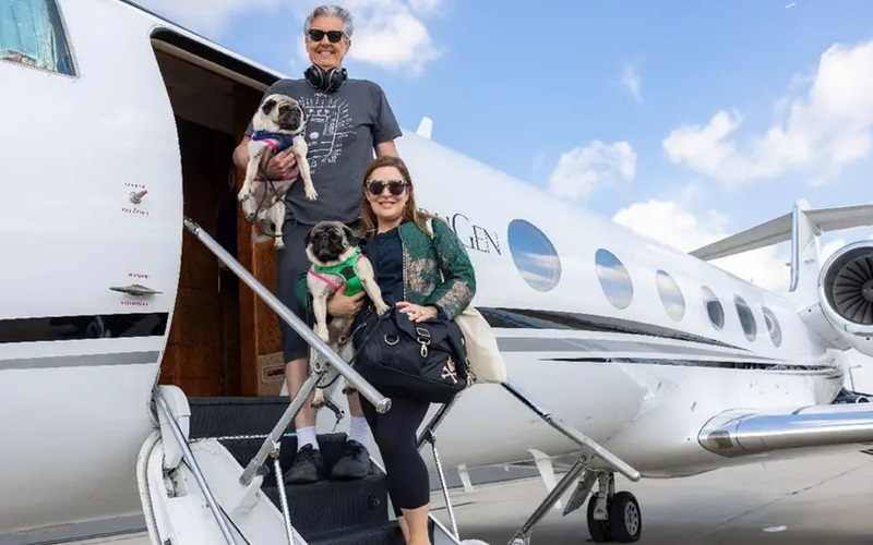 Jet-Set Pets: How Pet Owners Are Taking to the Skies in Private Jets