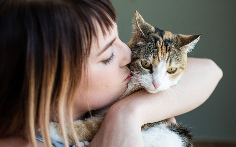 Key Aspects of Pet Ownership: