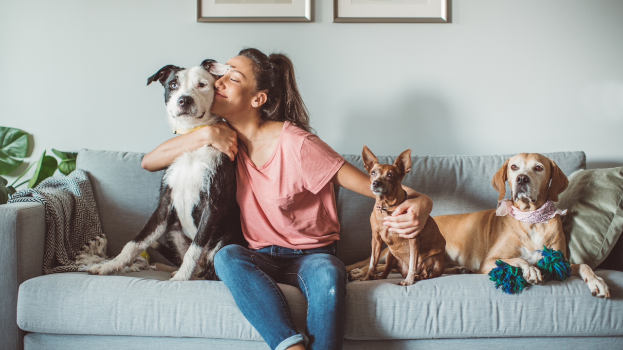 Living by the Pet Owners Creed: A Guide to Fulfilling Your Pet's Needs