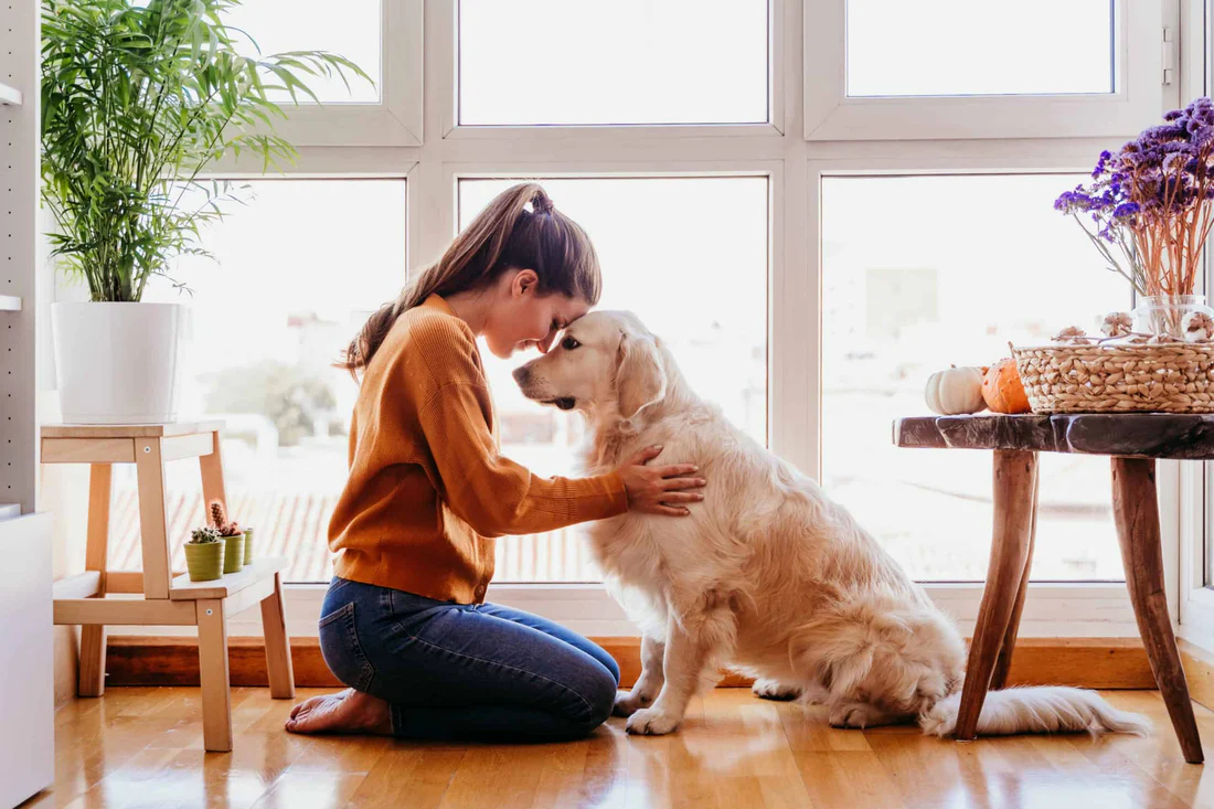 Maintaining a Fresh-Smelling HomeMaintaining a Fresh-Smelling Home