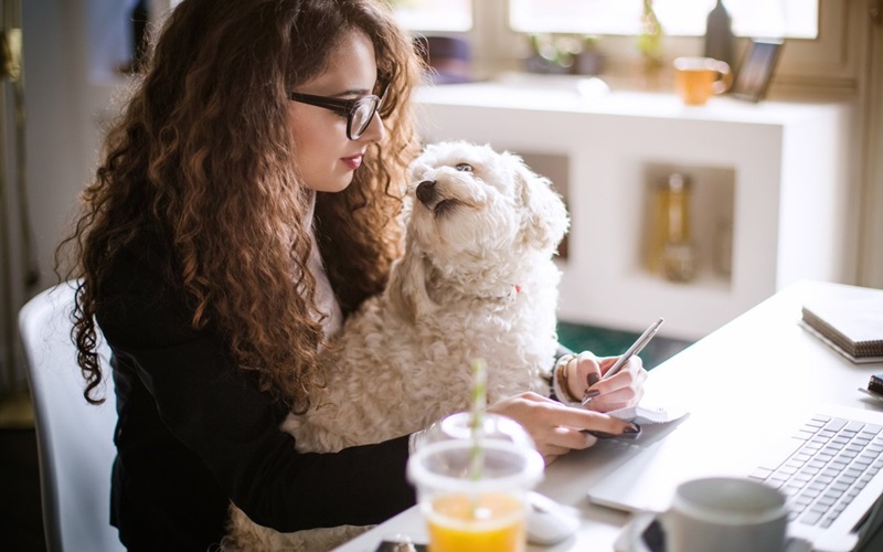 Maximizing Your Time: Effective Hour Management for Busy Pet Owners