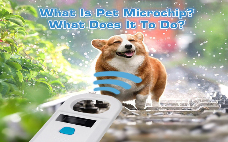 Microchip Information