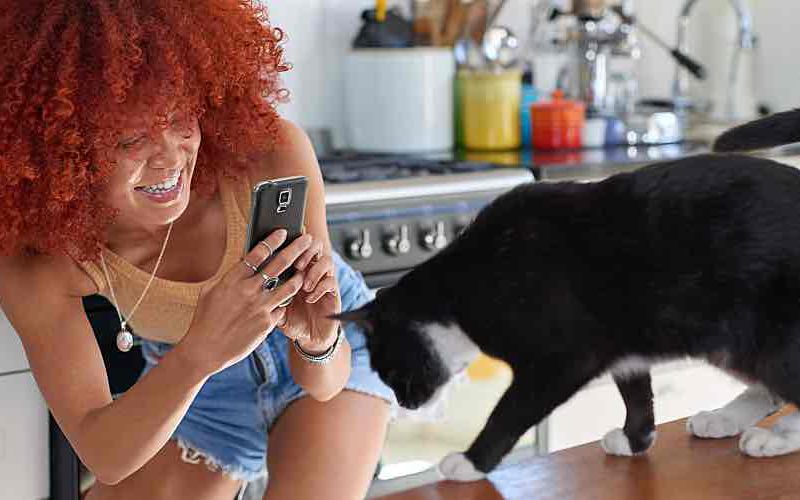 Millennials: The Digital Pet Parents