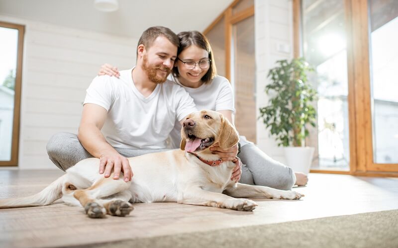 Navigating Intimacy: How Pet Owners Manage Their Love Lives