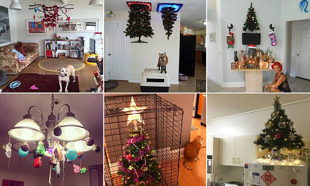 Pet-Proof Holidays: The Trend of Ceiling-Mounted Christmas Trees for Pet Owners