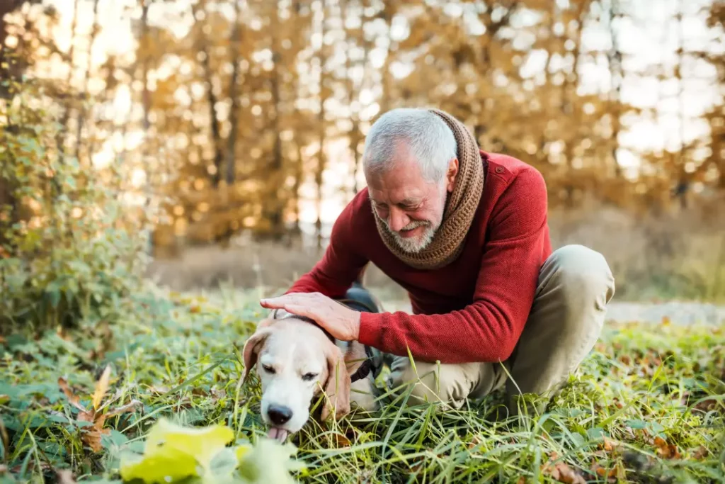 Practical Steps for Coping with Pet Loss