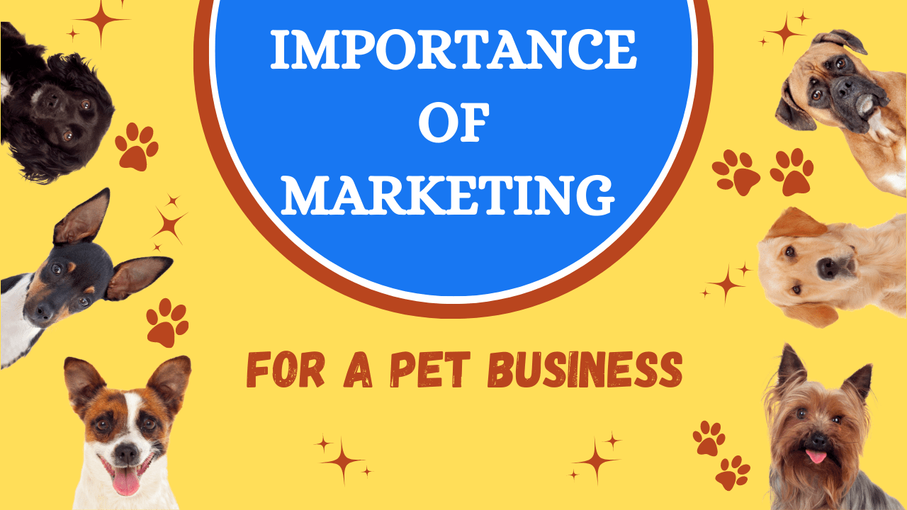 Promoting Your Pet Owner’s Guide