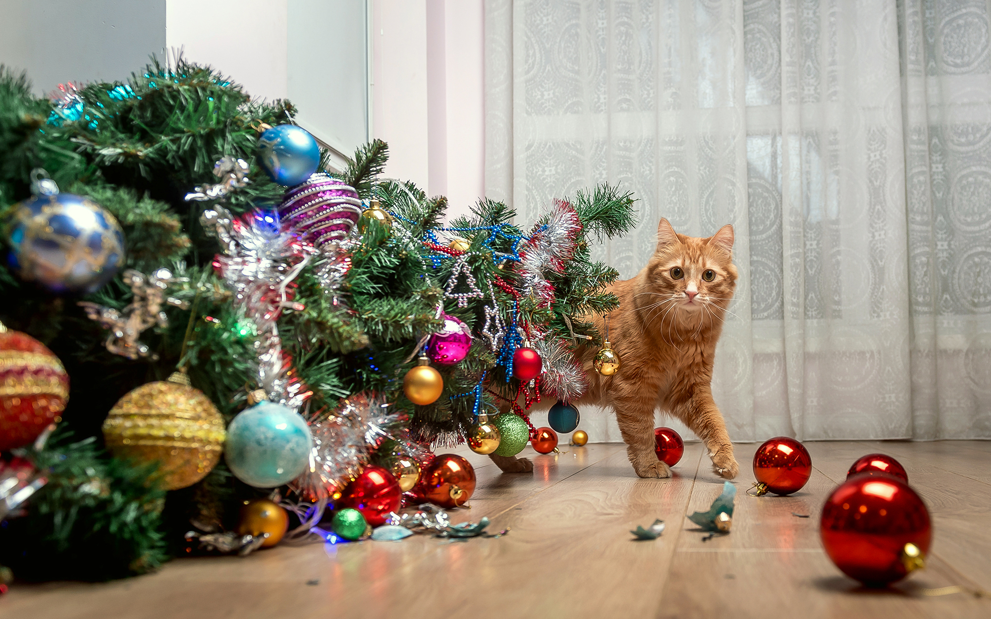 Safe and Stylish: Why Pet Owners are Opting for Ceiling Christmas Trees