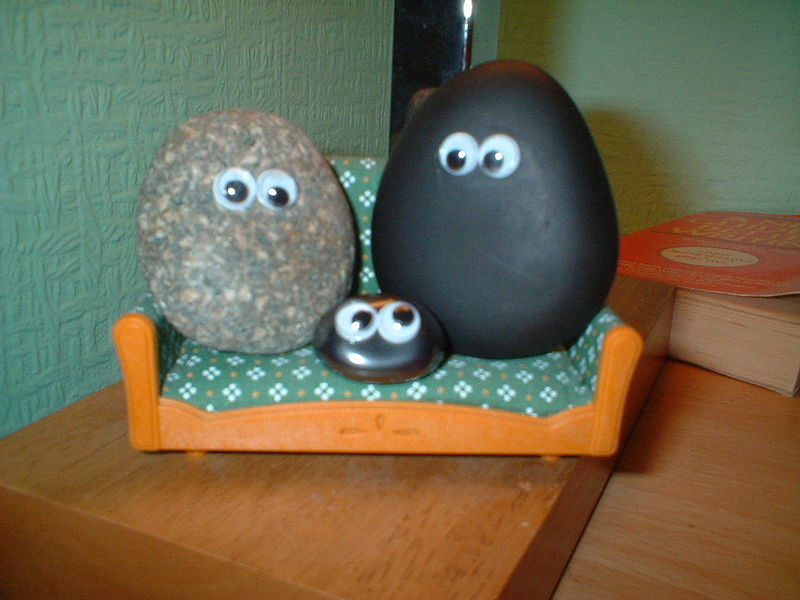 Socializing Your Pet Rock