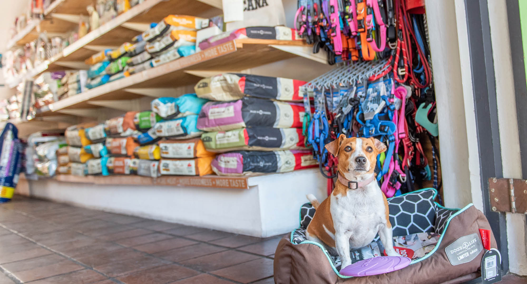 Specialty Pet Stores