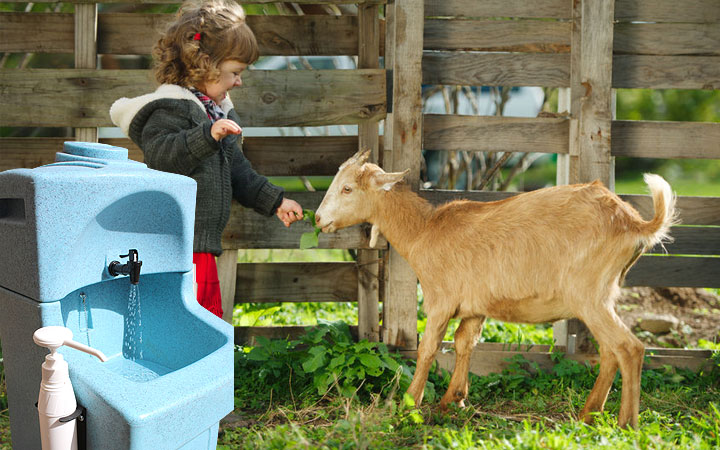 Statistics on Hand Washing Among Pet Owners