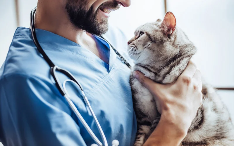 Statistics on Vet Visits