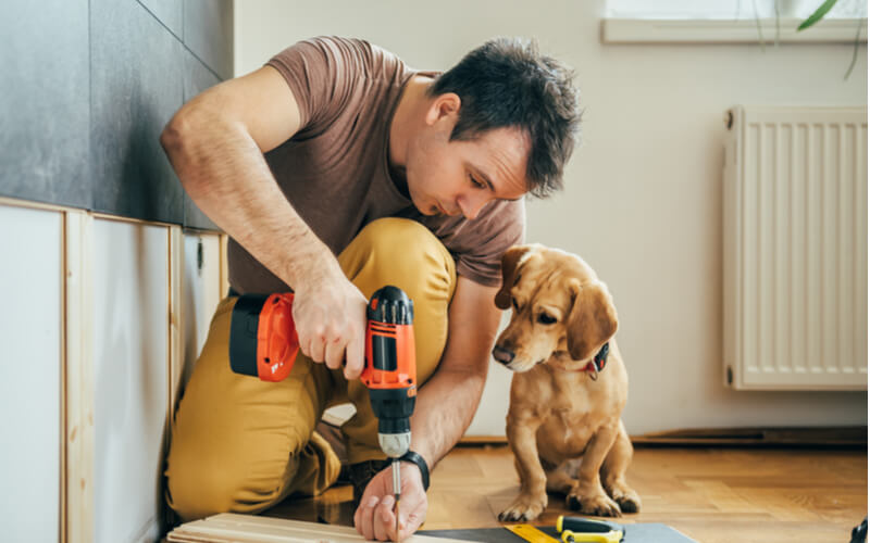 Structuring Your Pet Owner’s Guide