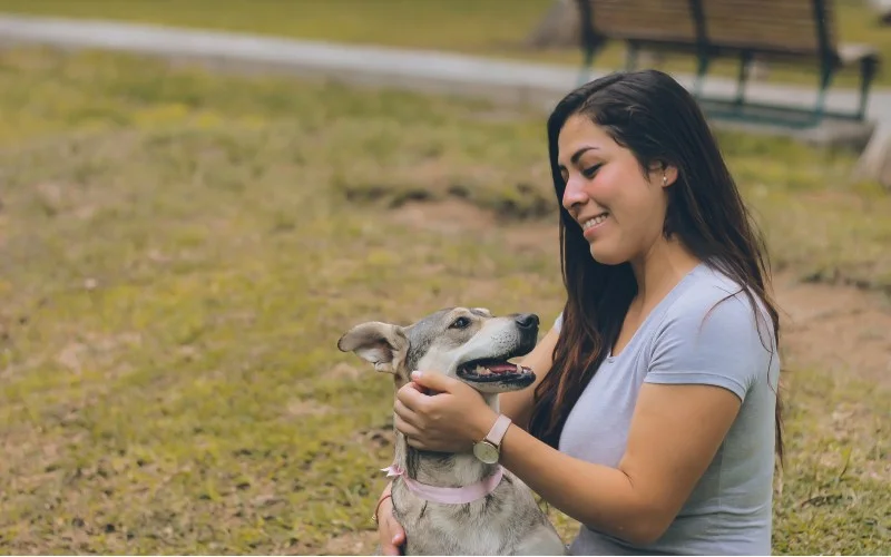 The Financial Strain on Pet Owners